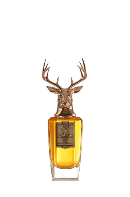 XVI EDP 100ml